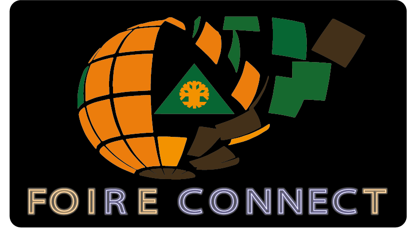 Logo foire connect